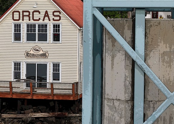 orcasisland2