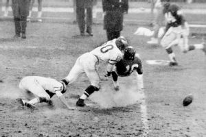 ny_g_bednarik01jr_C_300x200